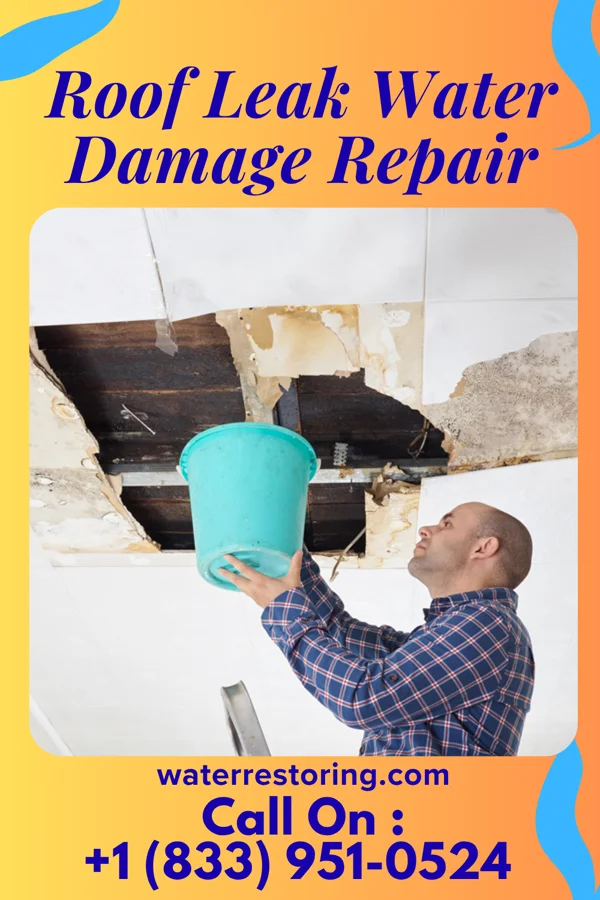 Roof Leak Water Damage Repair in Ball Ground, GA